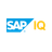 Sybase logo