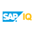Sybase IQ logo