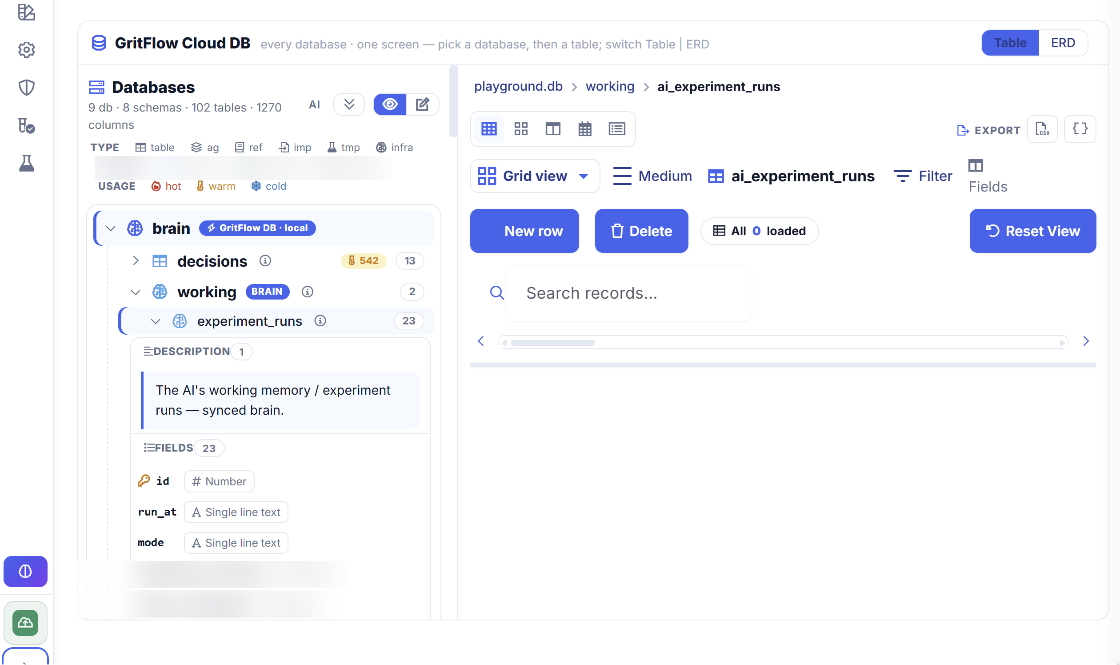 GritFlow Cloud DB data view: a schema tree with plain-language descriptions beside a spreadsheet-style grid with search, filter, and field controls